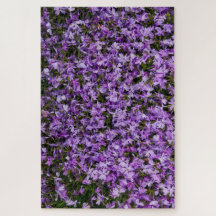 Violet Whispers in Bloom – 1014 Piece Purple Phlox