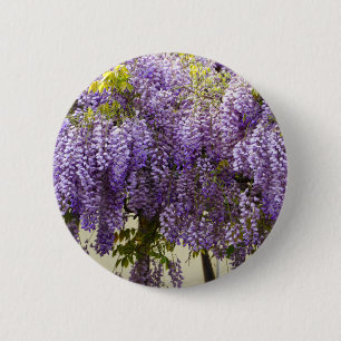 Violet Wisteria Flowers 6 Cm Round Badge