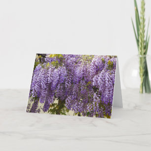Violet Wisteria Flowers Card