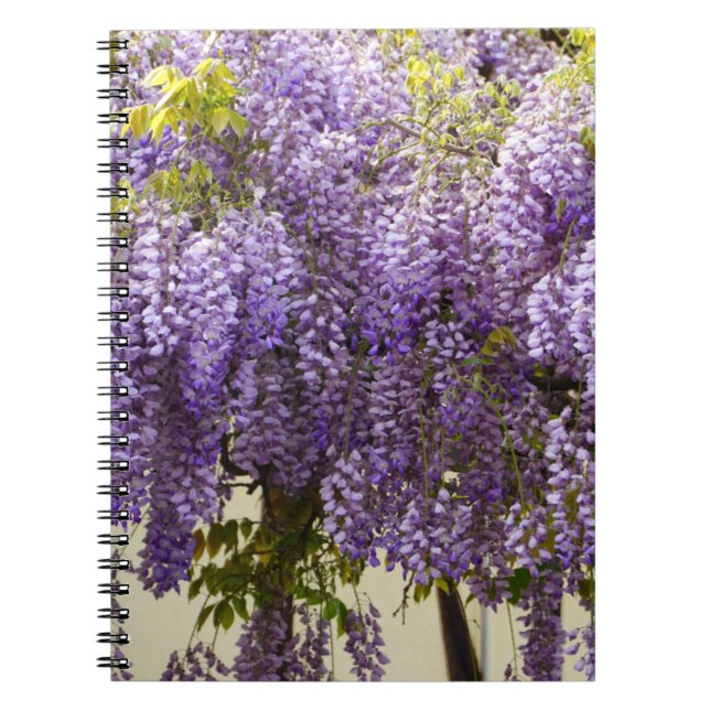 Violet Wisteria Flowers Notebook (Front)