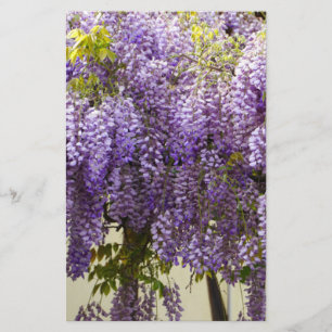 Violet Wisteria Flowers Stationery