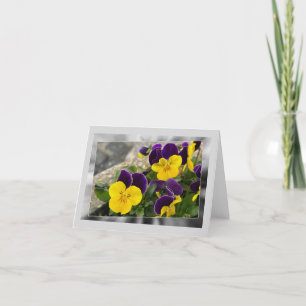 Violet yellow pansies holiday card