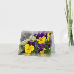 Violet yellow pansies holiday card