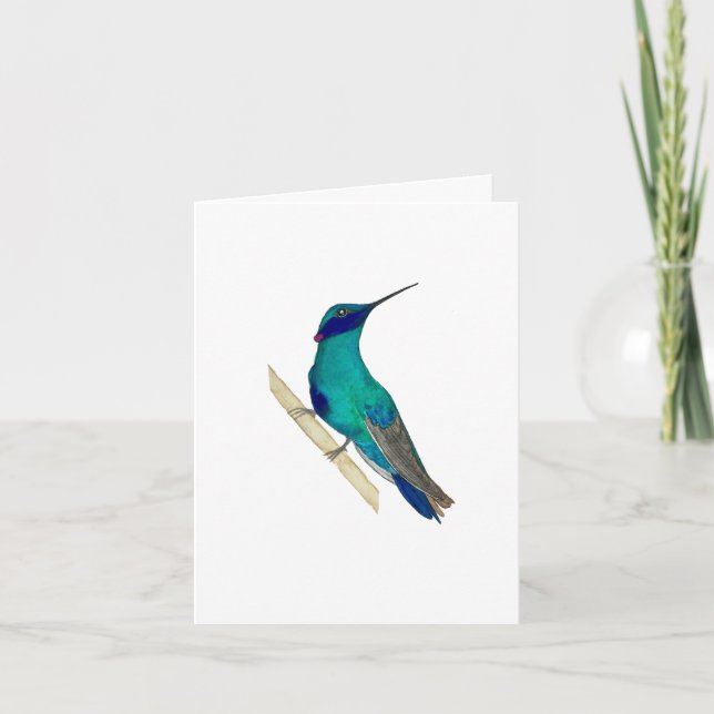 Violetear Hummingbird Greeting Card (Front)