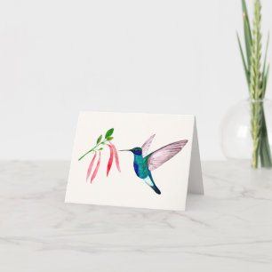 Violetear Hummingbird Greeting Card