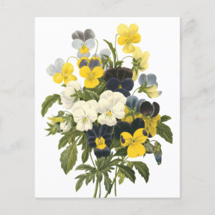 Violets and Pansy Flowers Botanical Art Flyer