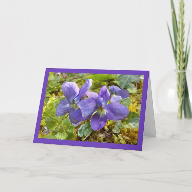 violets   card (Front)