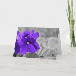 Violets Card
