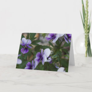 Violets Card