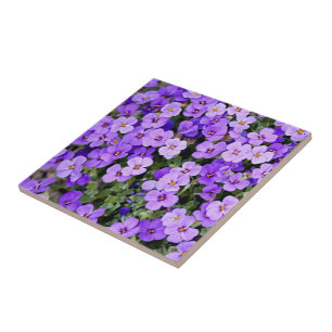 Violets Ceramic Tile