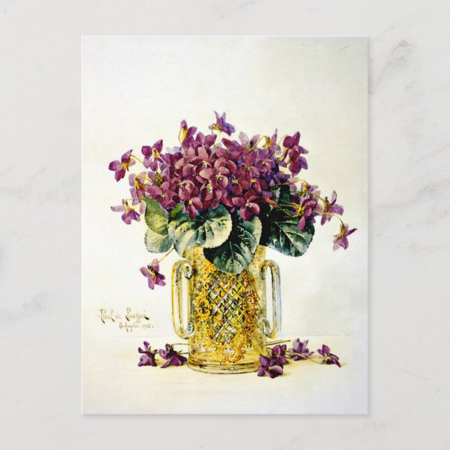 Violets - Delicate Purple Flowers in a Vase Postcard (Front)