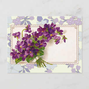 Violets for any occasion - Add your own words! Postcard