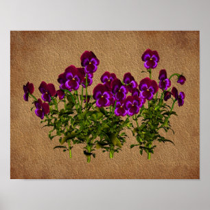 Violets On Aged Paper Floral Art Poster