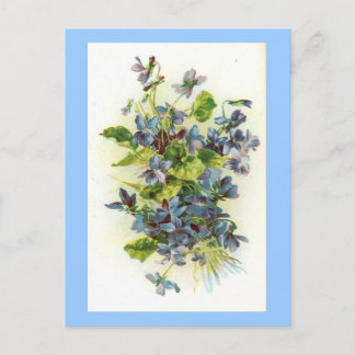 violets postcard