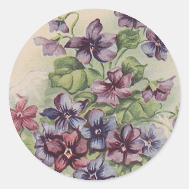 Violets - Sticker (Front)