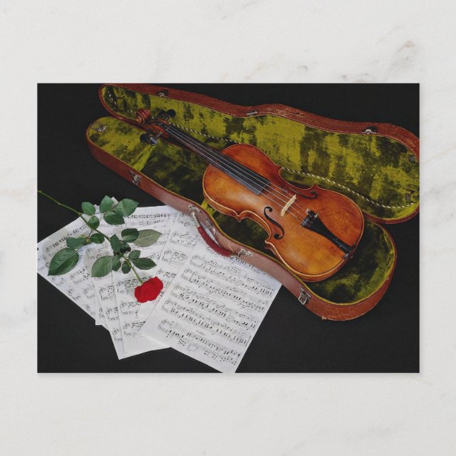 Violin and red rose on black background postcard (Front)