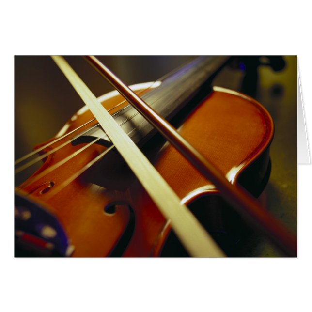 Violin & Bow Close-Up 1 (Front Horizontal)