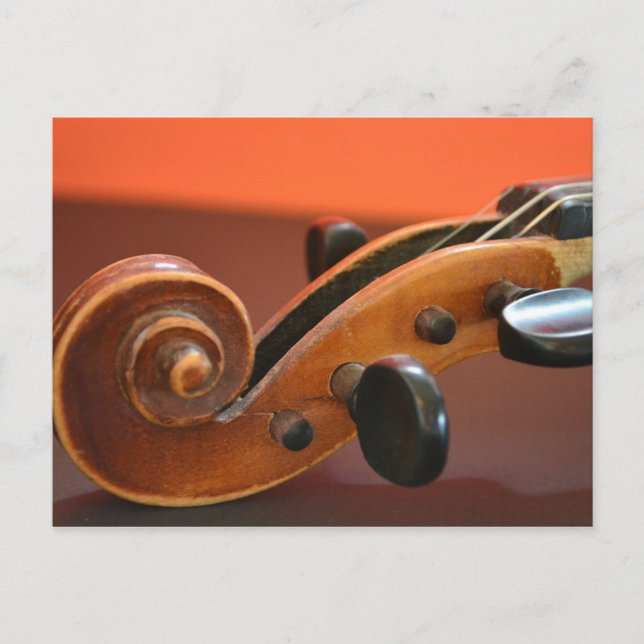 Violin classical stringed musical instrument postcard (Front)