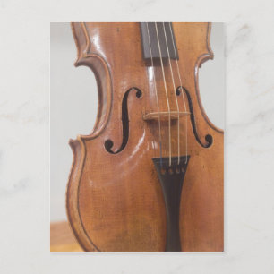 Violin II Postcard