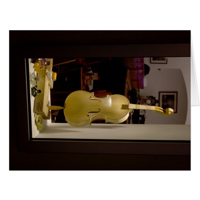 Violin In Shopping Window (Front Horizontal)