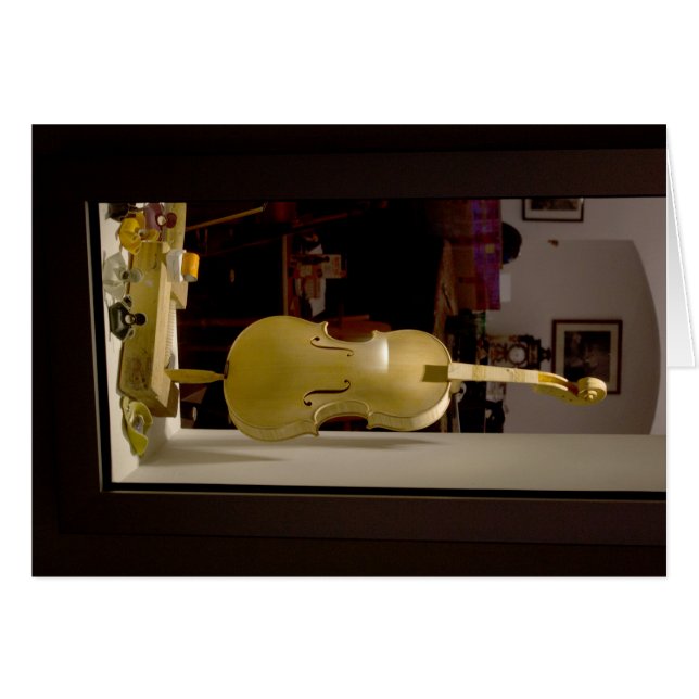 Violin In Shopping Window (Front Horizontal)