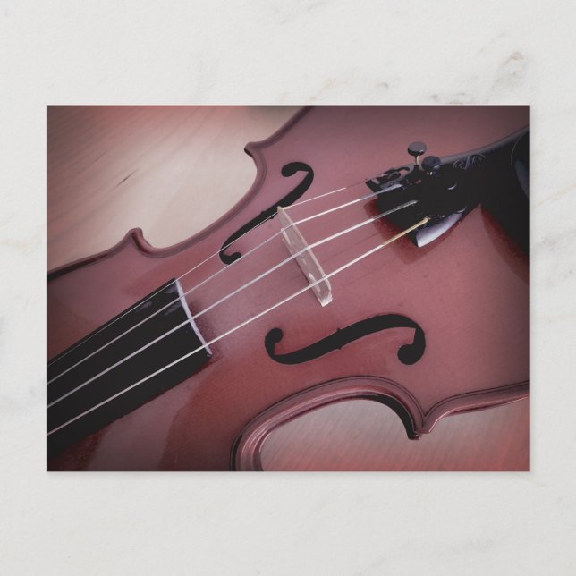 Violin musical string instrument photo postcard (Front)