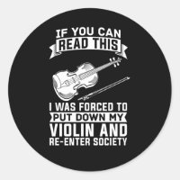 Violin Musician Fiddle Player Orchestra Violinist