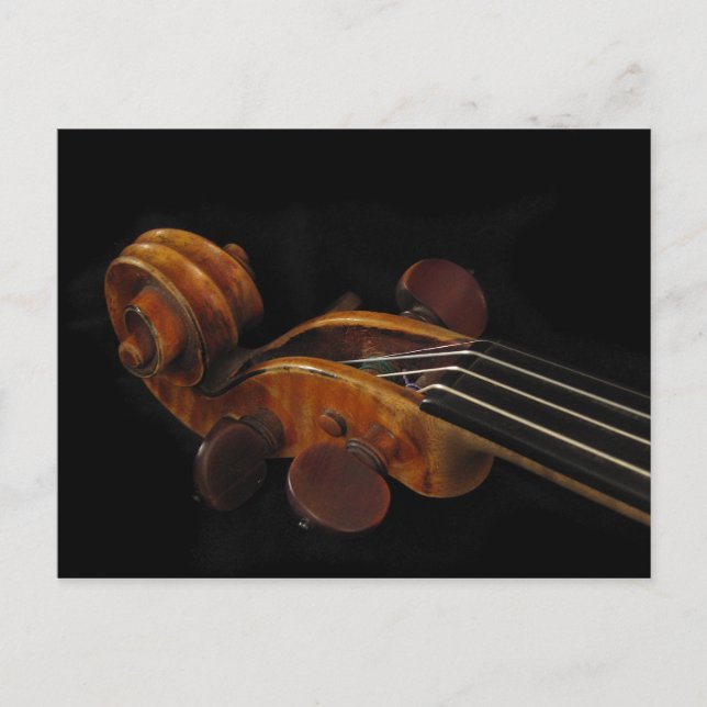 Violin Scroll Postcard (Front)