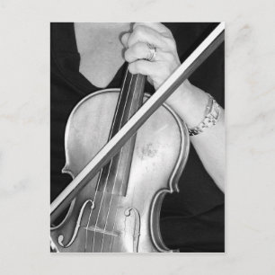Violinist at Rest Postcard