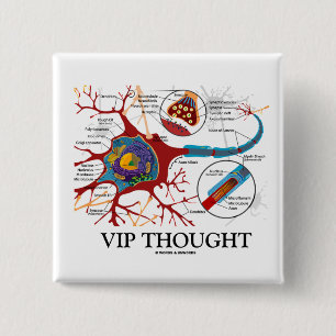 VIP Thought (Neuron / Synapse Humour) 15 Cm Square Badge