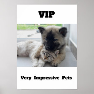 VIP Very Impressive Pets Cute cat dog Poster