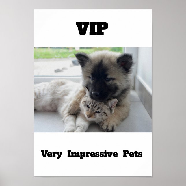 VIP Very Impressive Pets Cute cat dog Poster (Front)
