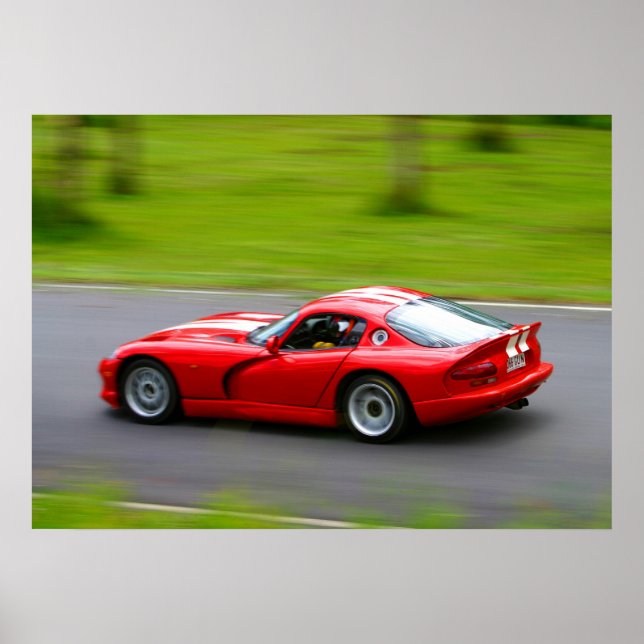 Viper Fang Poster (Front)