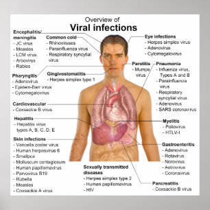 Viral Infections and the Species Involved Chart