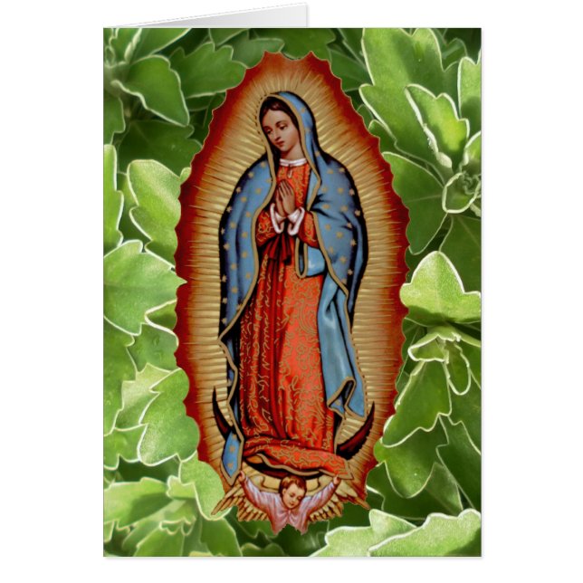 VIRGEN DE GUADALUPE COLECTION (Front)