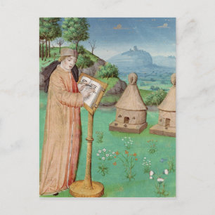 Virgil  writing the Life of Bees Postcard