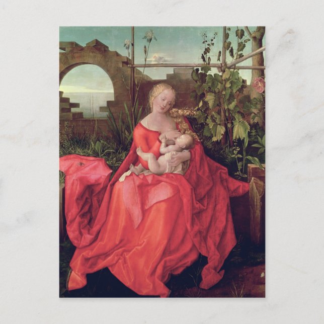 Virgin and Child 'Madonna with the Iris', 1508 Postcard (Front)