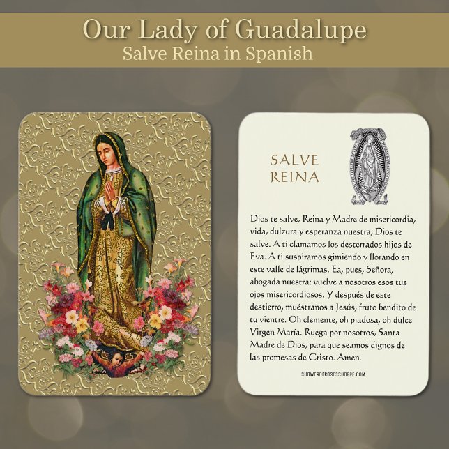 Virgin Mary Salve Reina Spanish Prayer Holy Card (Featuring a beautiful image of Our Lady of Guadalupe with the Hail Holy Prayer in Spanish.)