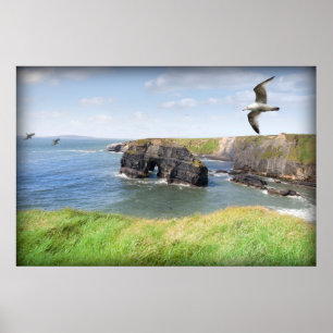 Virgin rock gulls in an updraught poster