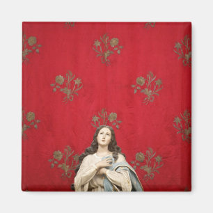 Virgin statue in a Spaccanapoli church, Naples Magnet