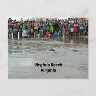 Virginia Aquarium Sea Turtle Release Postcard