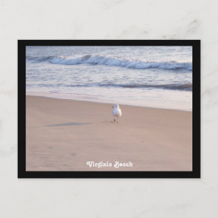 Virginia Beach Postcard