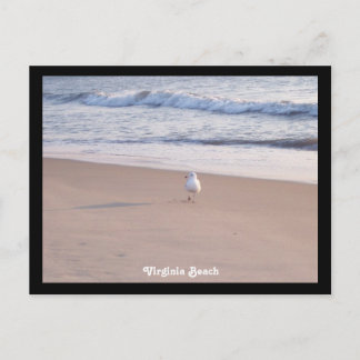 Virginia Beach Postcard