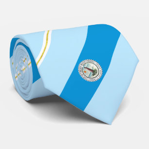 Virginia Beach (Virginia) city flag Neck Tie