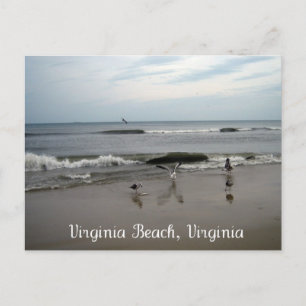 Virginia Beach, Virginia Postcard