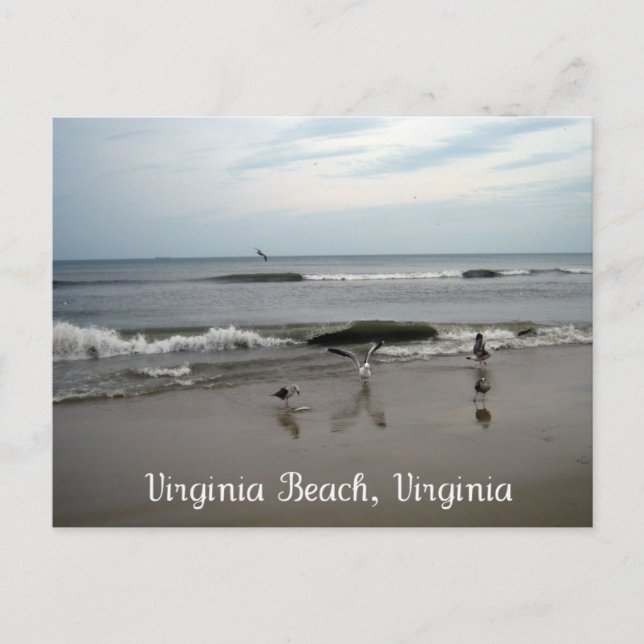 Virginia Beach, Virginia Postcard (Front)