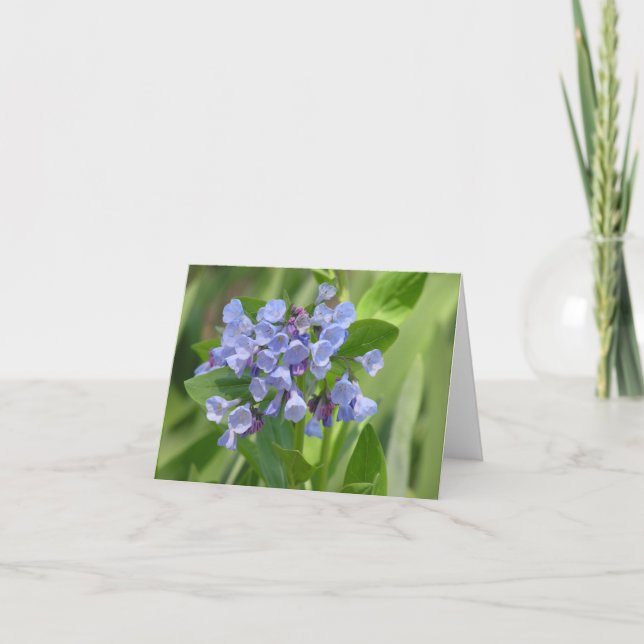 Virginia bluebell (Mertensia virginica) card (Front)