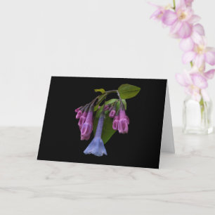 Virginia Bluebells Wildflower Card