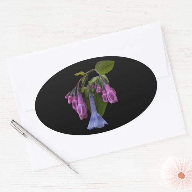 Virginia Bluebells Wildflower Oval Sticker (Envelope)
