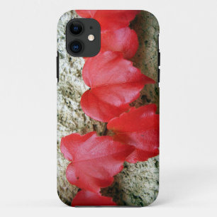 Virginia Creeper Leaves iPhone SE+5/5S Case